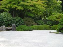 The Dhyana-Samadhi Meditation Absorptions - Part 7