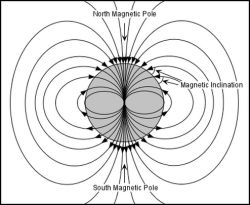 A Buddhist cosmology?