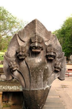 Nagas and Serpents