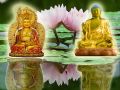 Thumbnail for version as of 13:30, 25 May 2014