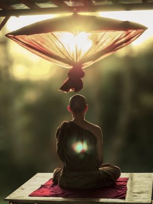 A Short Explanation Of Pujas