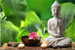 Free Your Mind by Practicing Mindfulness and Meditation Daily