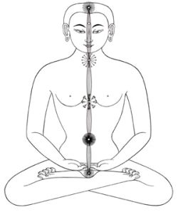 Right : Buddhist Channels, Wheels&Drops.