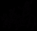 Thumbnail for version as of 17:49, 14 July 2014
