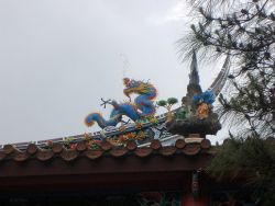 Chinese dragon
