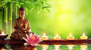 Neuroscientists and the Dalai Lama Swap Insights on Meditation