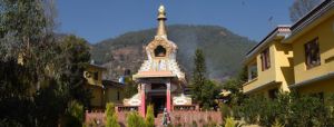 Remembering Tenga Rinpoche, a Kagyu Kālacakra master