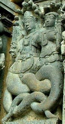India: Nagas of the Underworld by Jan J.M