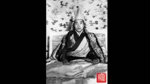 The 10th Panchen Lama, Lobsang Trinley Lhundrup Choekyi Gyaltsen, was born in 1938 and was recognised as the re-incarnation of the 9th Panchen Lama in 1951