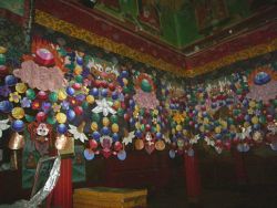 Black Crown or shwa-nag