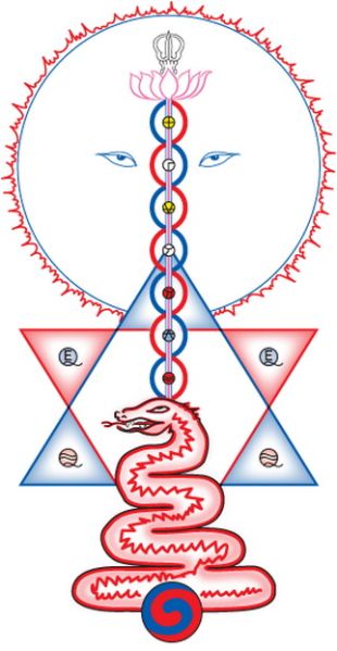 File:Serpentinitiate.JPG