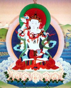 Sku gsung thugs kyi rgyud kyi rgyal po