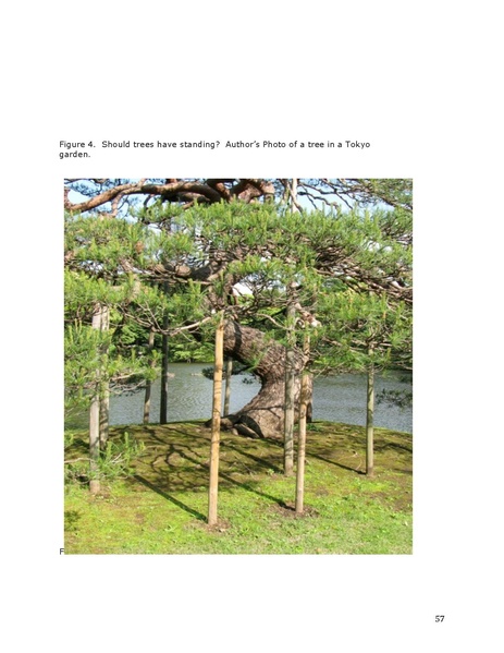 File:20 ronaldwintrobe.pdf
