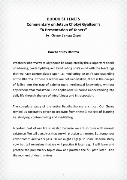 File:Gtz tenets.pdf