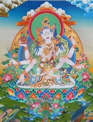 Advice for Garje Khamtrul Rinpoche by Jamyang Khyentse Chökyi Lodrö