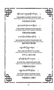 next page →