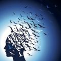 Thumbnail for version as of 07:05, 30 December 2012