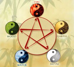 Basics of the 5 Elements