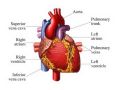 Thumbnail for version as of 02:47, 13 March 2013
