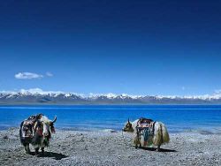 Lhamo La-tso