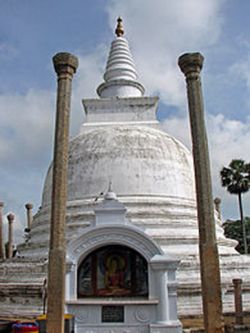 The Radical Potential of Shin Buddhism