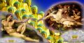 Thumbnail for version as of 16:54, 17 May 2014