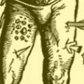 Thumbnail for version as of 15:13, 9 August 2013