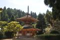 Pagoda of Kongozanmaiin (National Treasure)