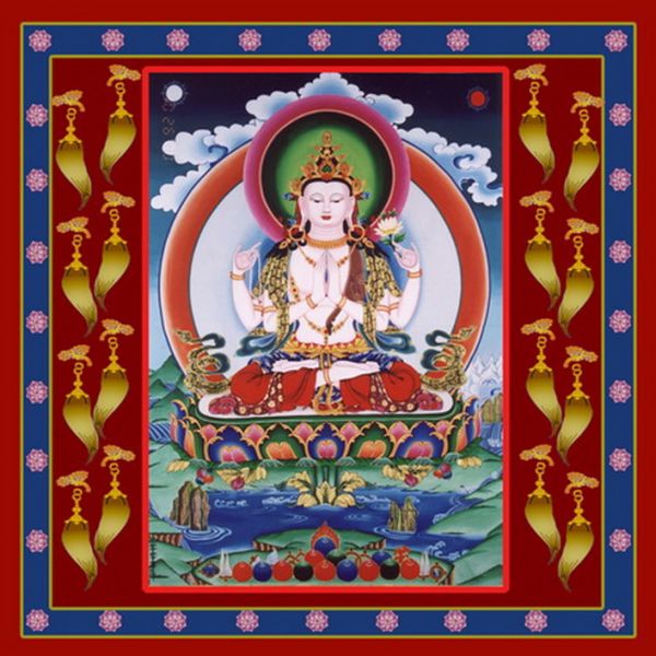 File:Kuh0120.JPG