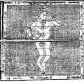 Thumbnail for version as of 09:34, 5 June 2013