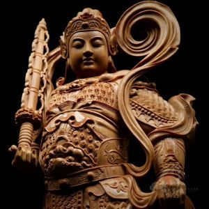 THE ATTAINMENT OF IMMORTALITY: FROM N¯ATHAS IN INDIA TO BUDDHISTS IN TIBET