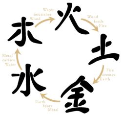 Basics of the 5 Elements