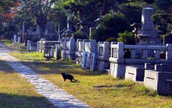 The Merit of Practice in a Cemetery