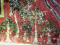 Thumbnail for version as of 11:27, 14 May 2013