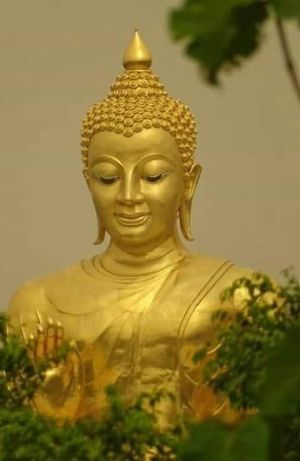 The Dakini Principle.