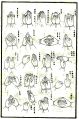 Thumbnail for version as of 23:01, 24 June 2014