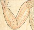 Thumbnail for version as of 06:01, 27 March 2013