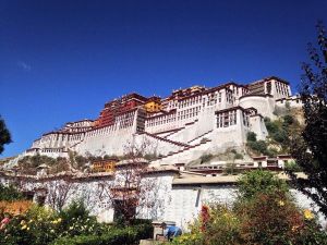 Buddhism Changes China and Responds to China