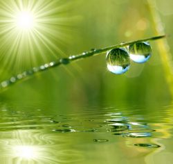 The Dhyana-Samadhi Meditation Absorptions - Part 7