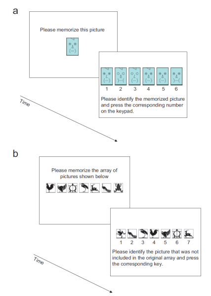 File:Figure-2-memorize.png