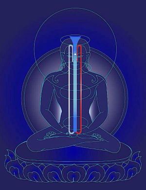 The Indian Yogācāra Master Sthiramati and His Views on