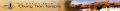 Thumbnail for version as of 09:25, 10 November 2015