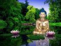 Thumbnail for version as of 02:39, 9 May 2014