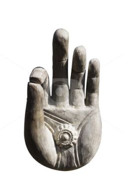 Buddha’s palm with wheel