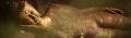 Thumbnail for version as of 01:44, 21 May 2013