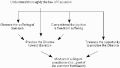 Thumbnail for version as of 15:33, 27 May 2013