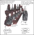Thumbnail for version as of 06:18, 11 May 2013