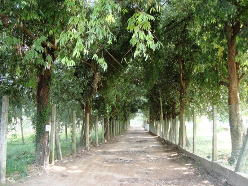 File:39377765.jpg
