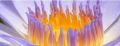 Thumbnail for version as of 07:32, 10 November 2015