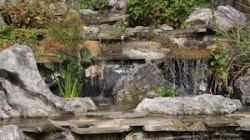 Shaolin Temple UK